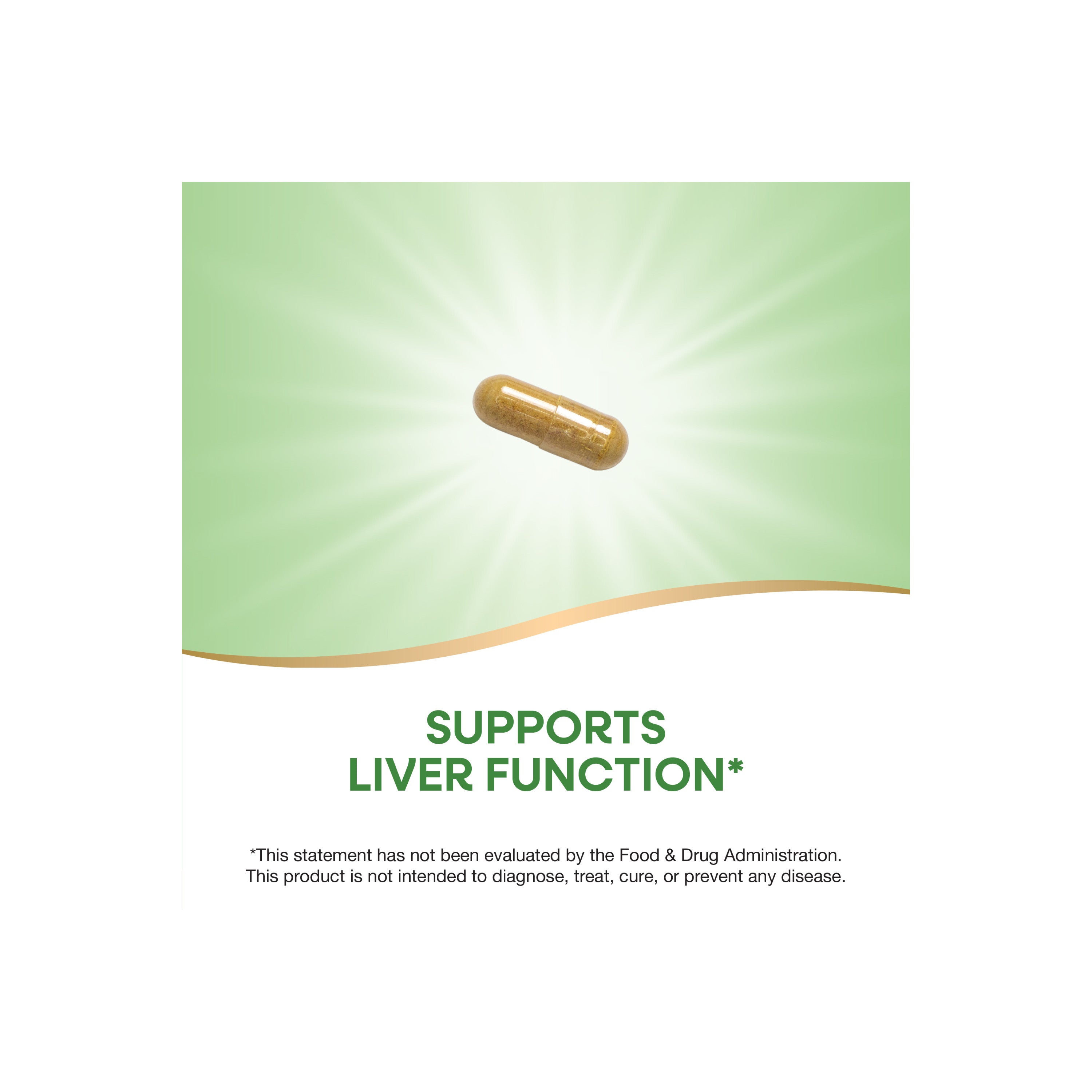Thisilyn Milk Thistle Extract