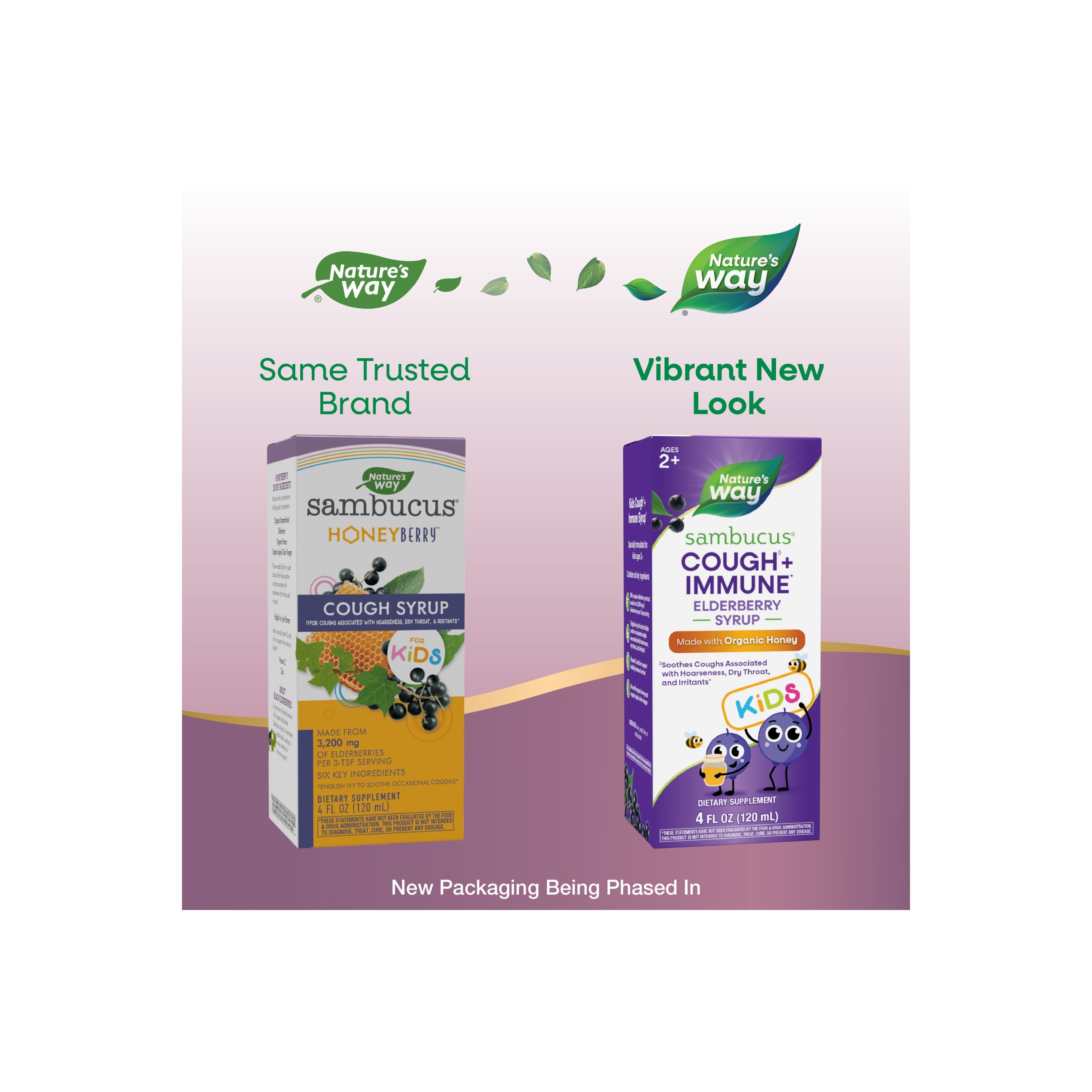 Sambucus Kids Cough + Immune Syrup