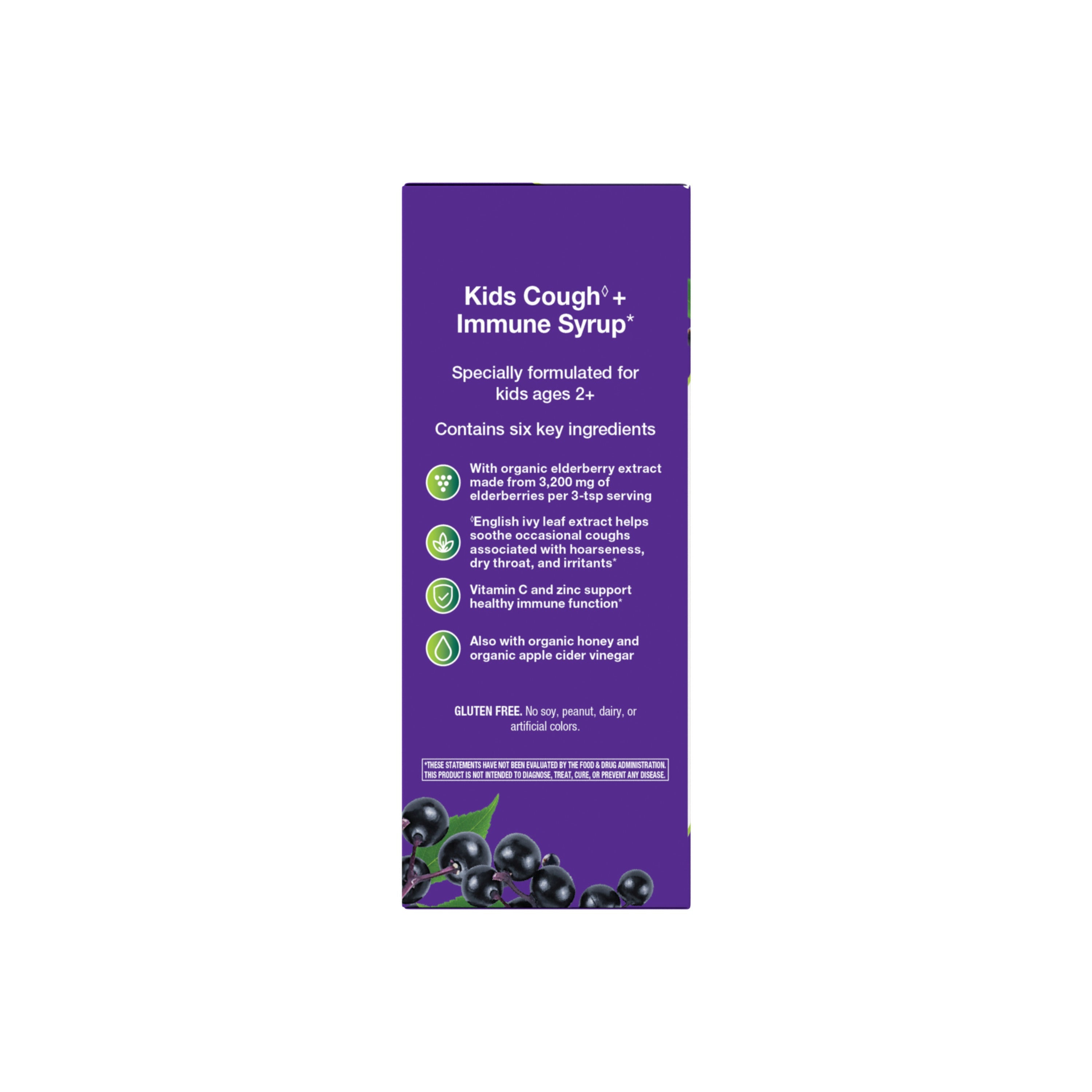 Sambucus Kids Cough + Immune Syrup