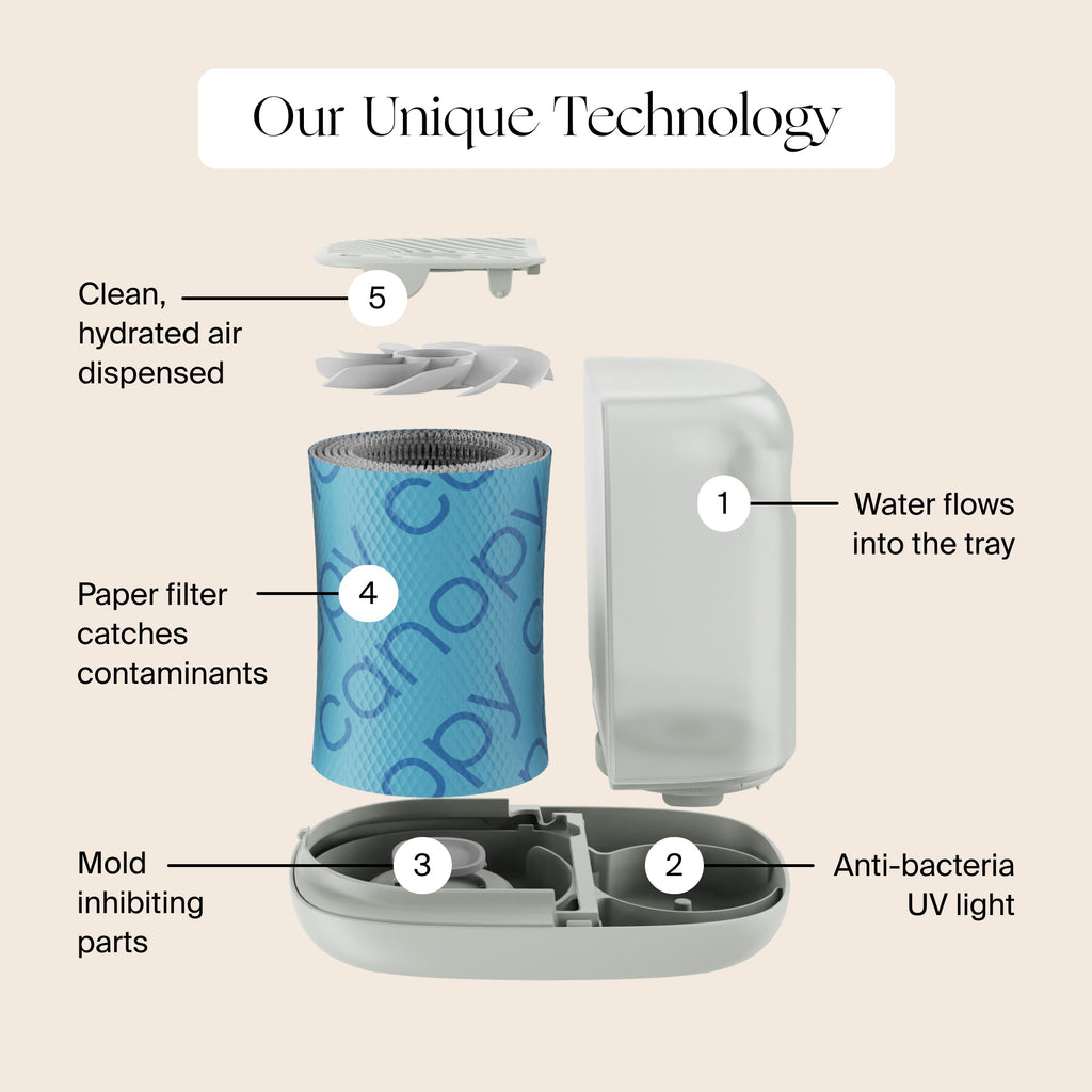 2.0 Bedside Humidifier (with Filter)