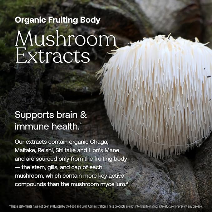One Daily Men's 40+ Multivitamin