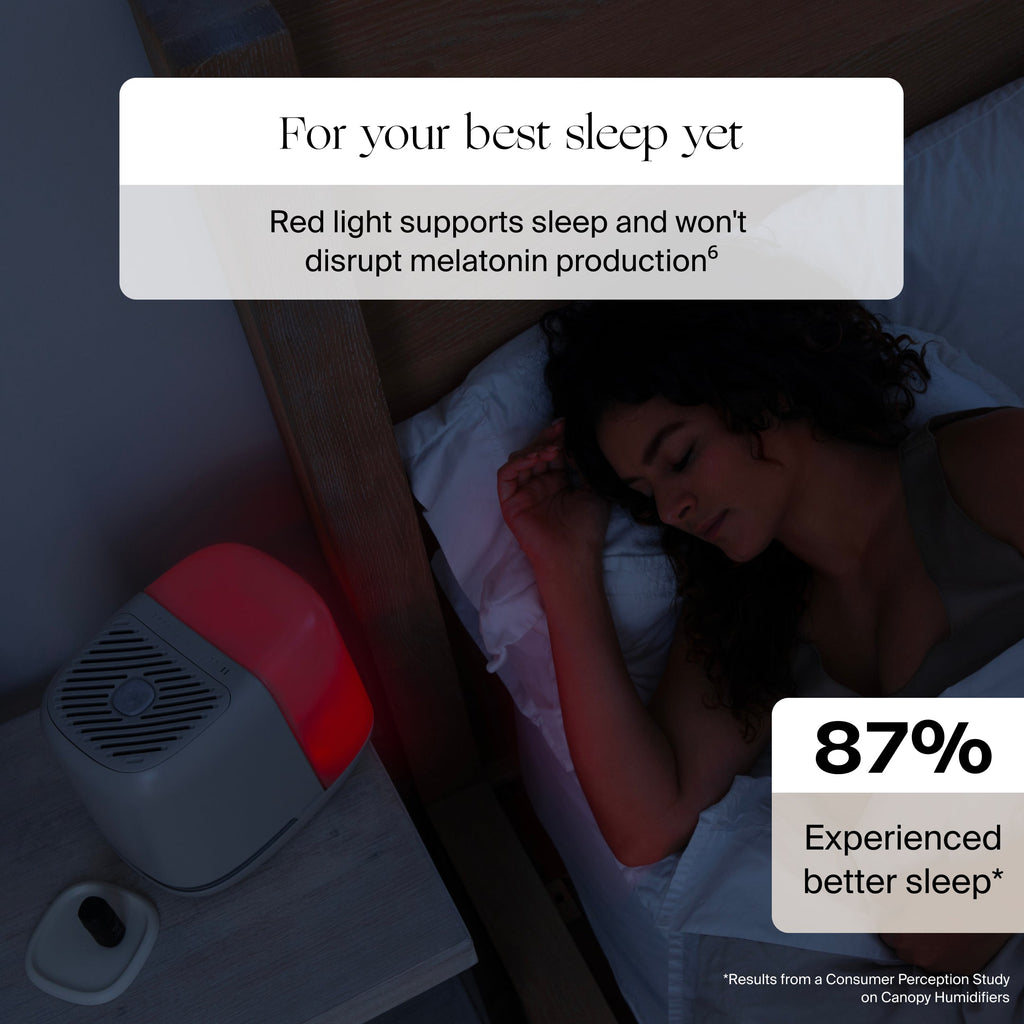 2.0 Bedside Humidifier (with Filter)