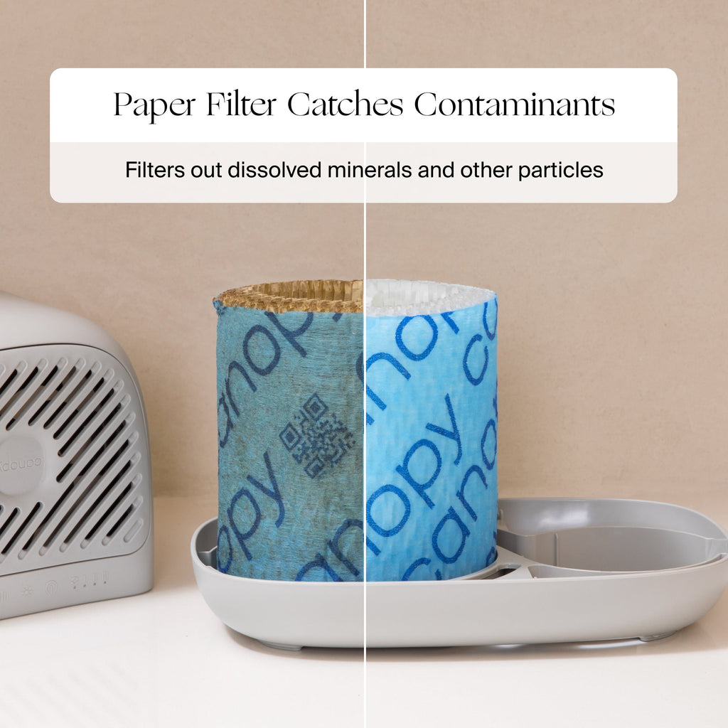 2.0 Bedside Humidifier (with Filter)