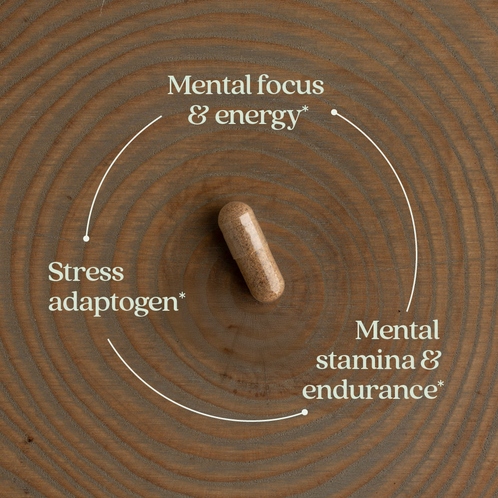 Rhodiola Force