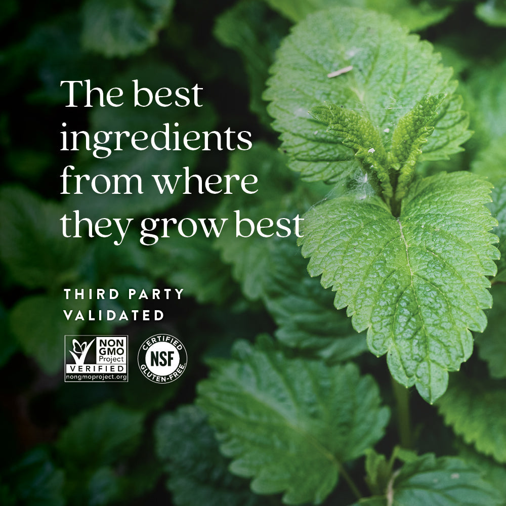 Lemon Balm Force