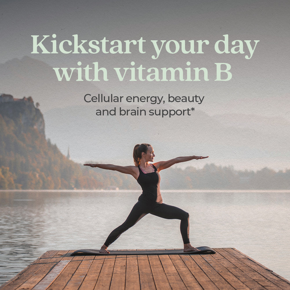 Fermented Vitamin B Complex