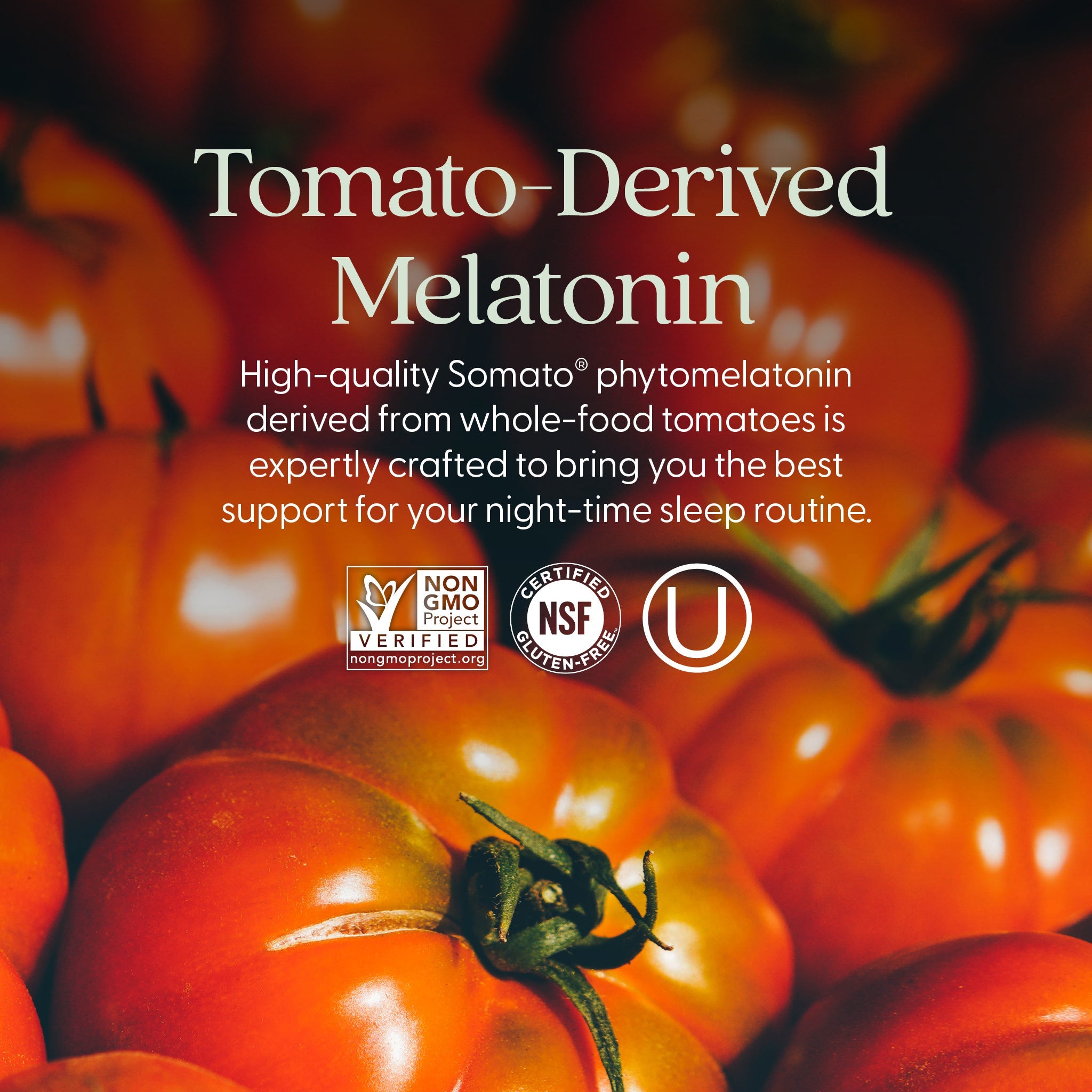 Plant Melatonin + Tart Cherry & Ashwagandha Tablet