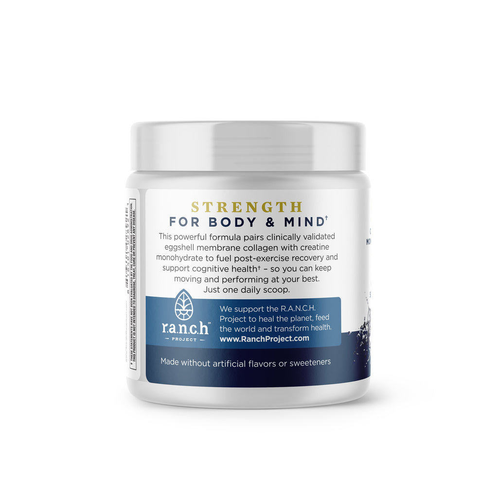 Creatine + Collagen + Electrolytes Powder
