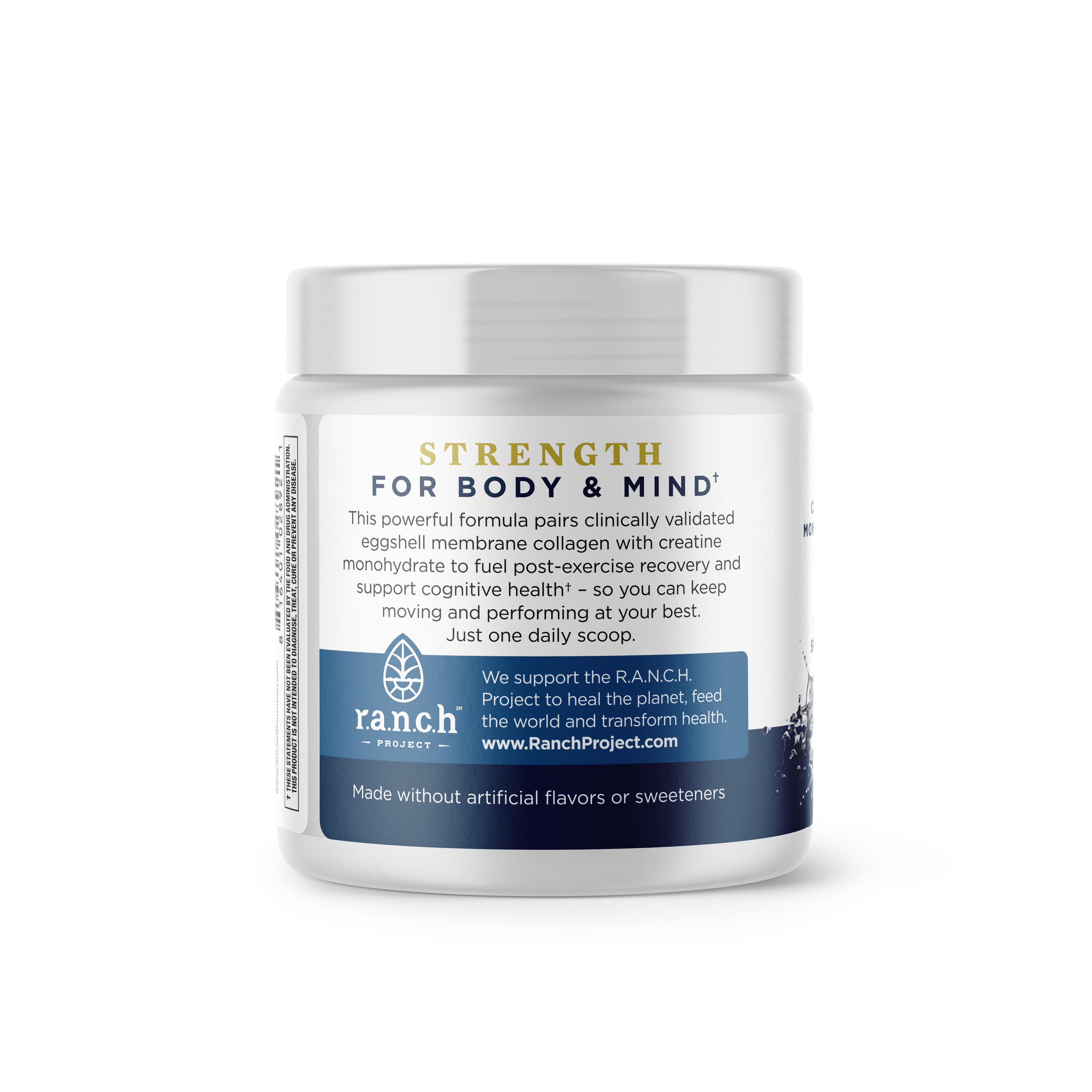 Creatine + Collagen Powder