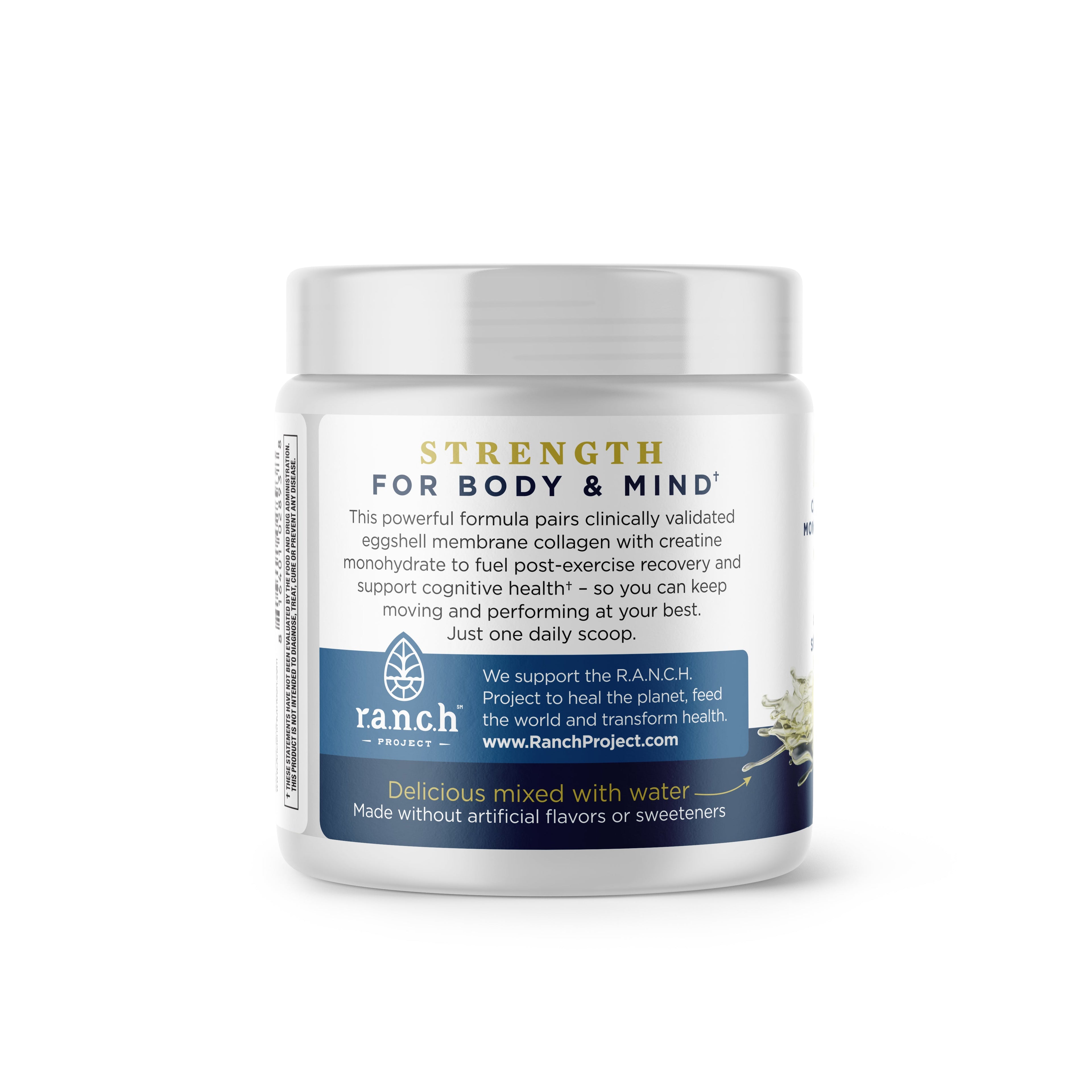 Creatine + Collagen + Electrolytes Powder