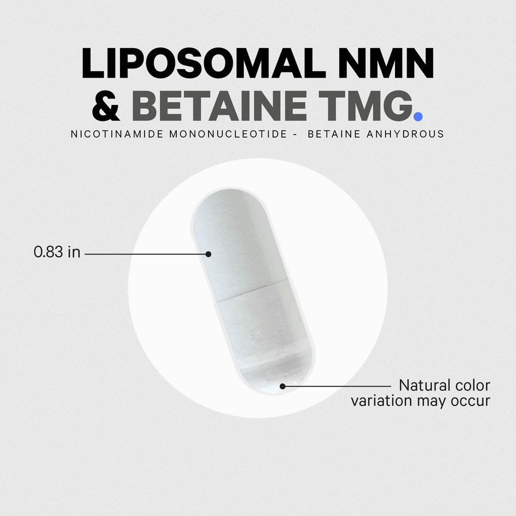 Liposomal NMN + TMG Capsule
