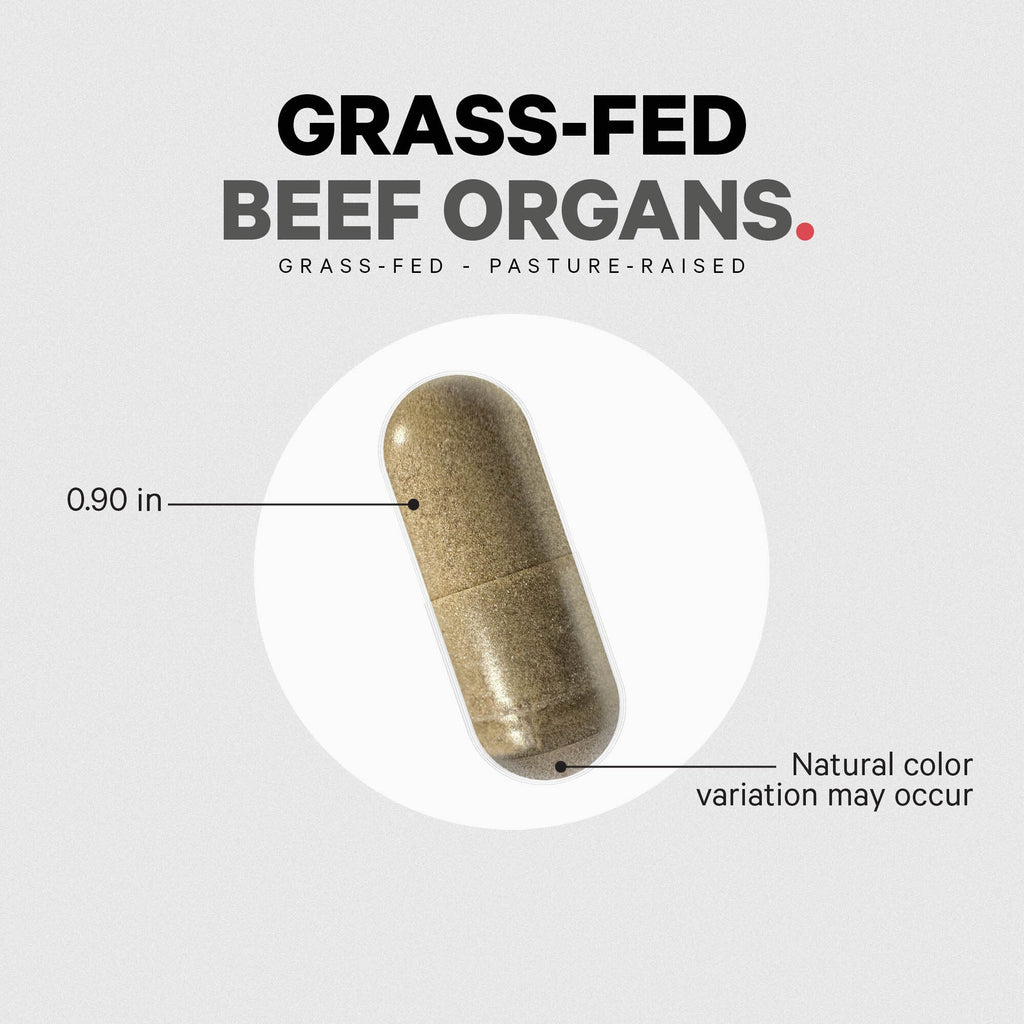 Beef Organs