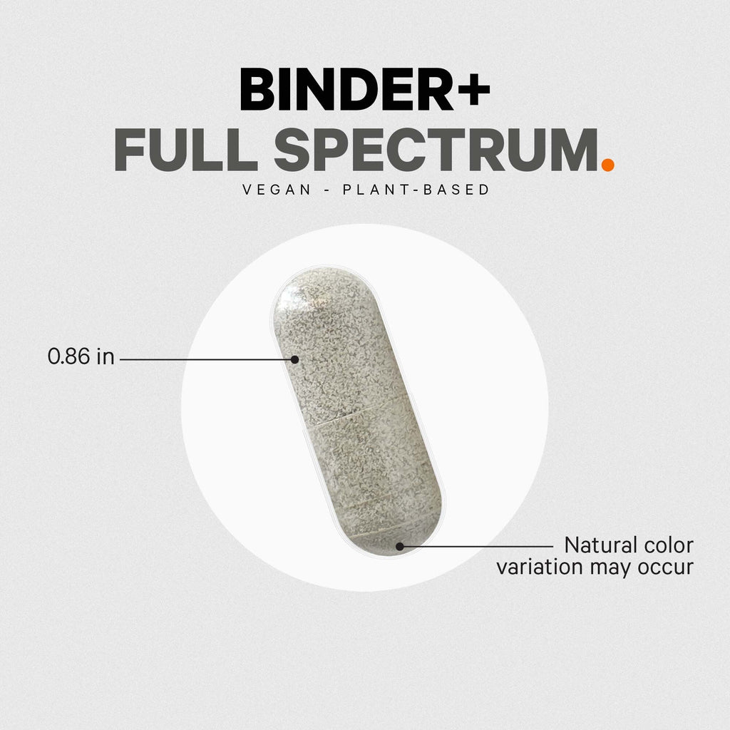 Binder +