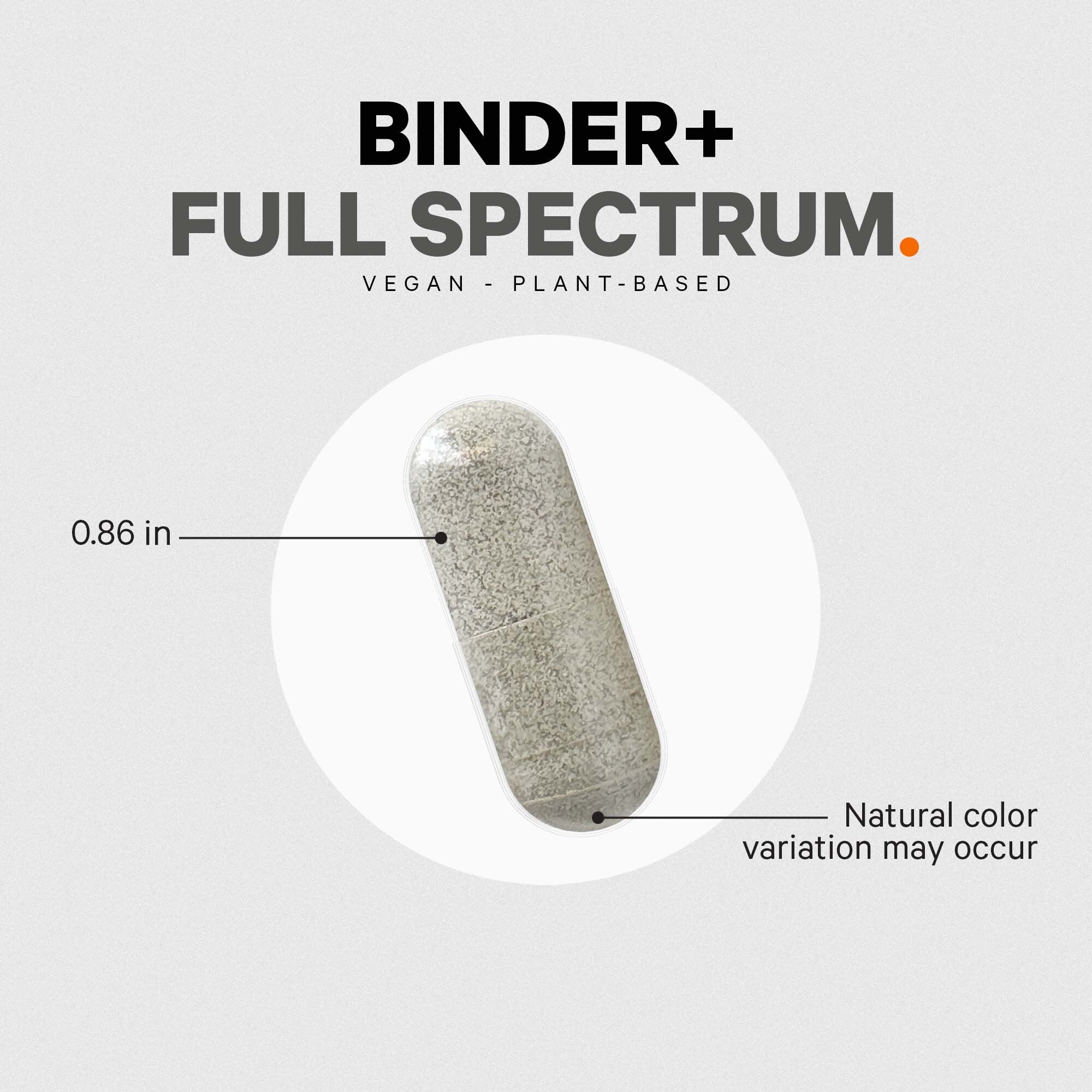 Binder +