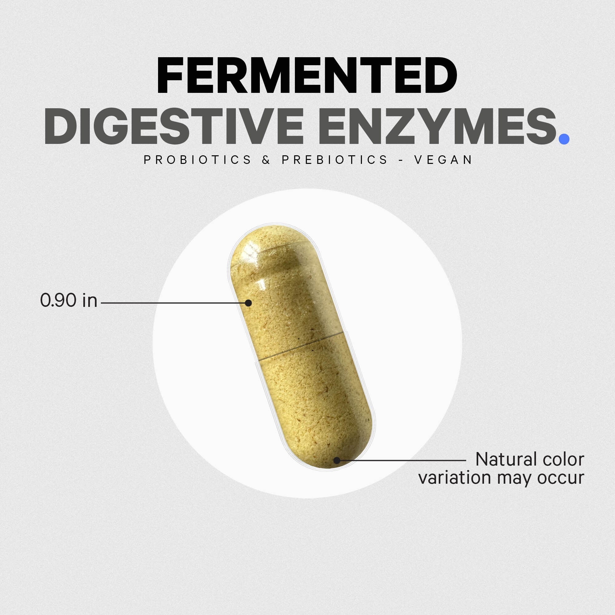 Fermented Digestive Enzymes