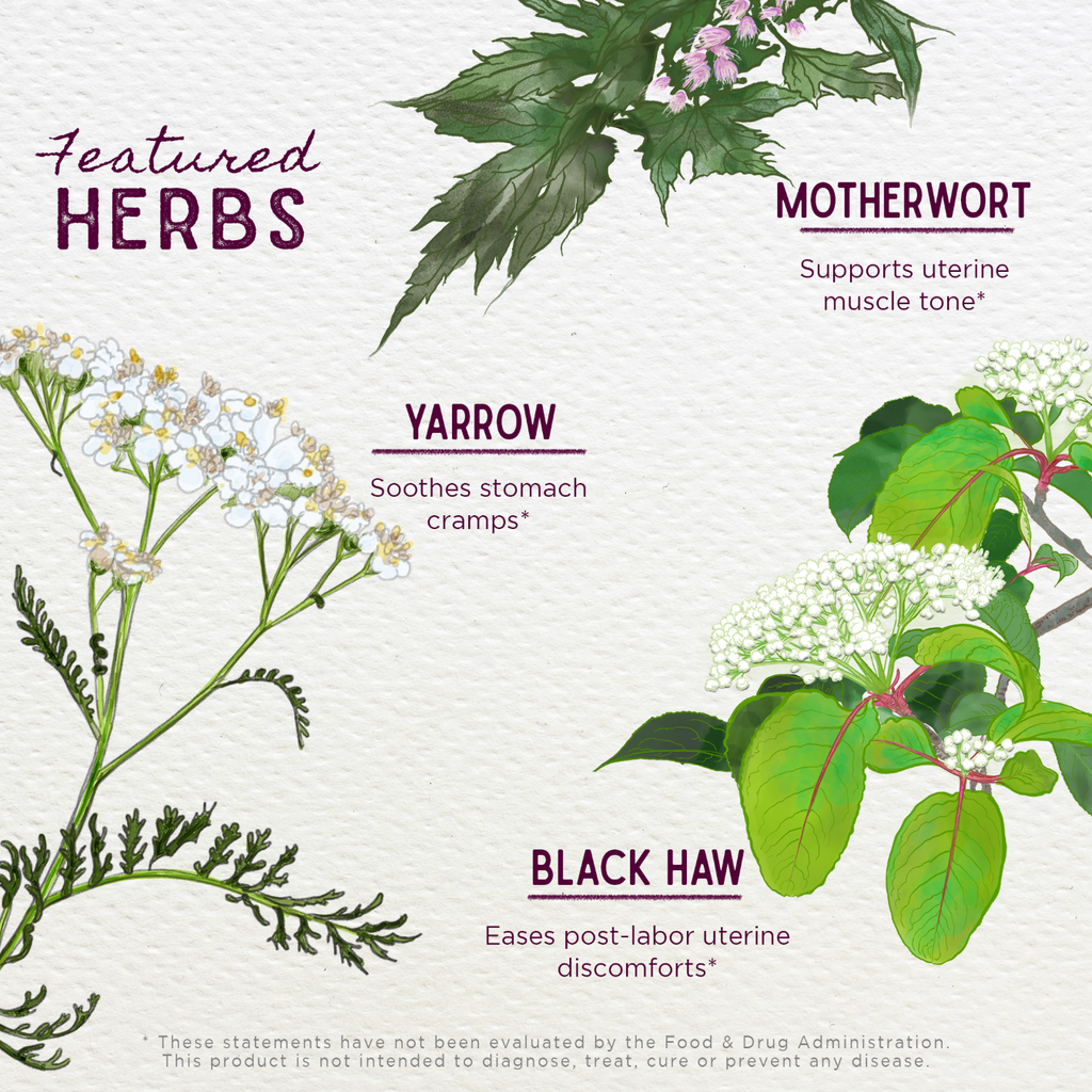 AfterEase Herbal Supplement - For Afterbirth Contractions - Herbal Supplement