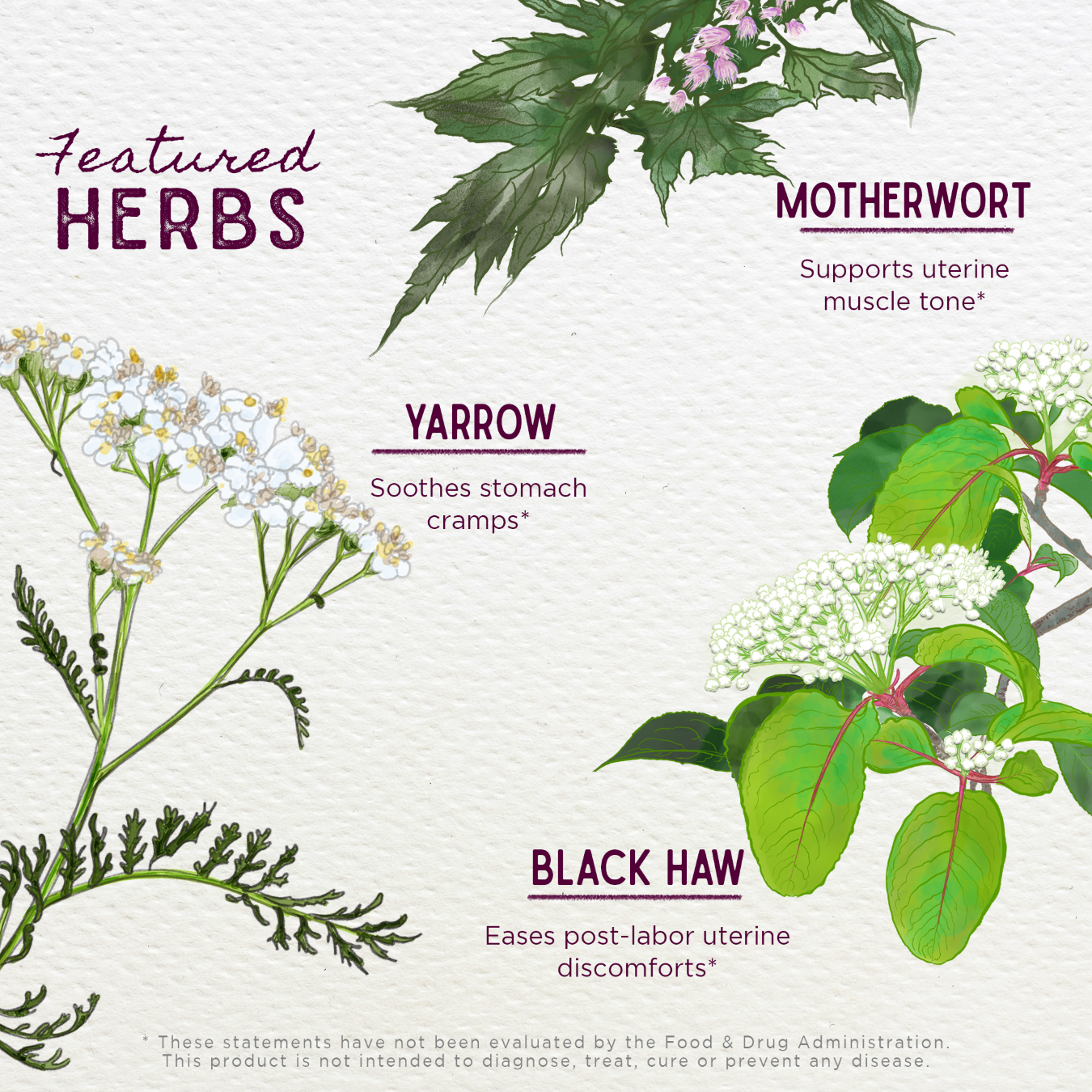 AfterEase Herbal Supplement - For Afterbirth Contractions - Herbal Supplement