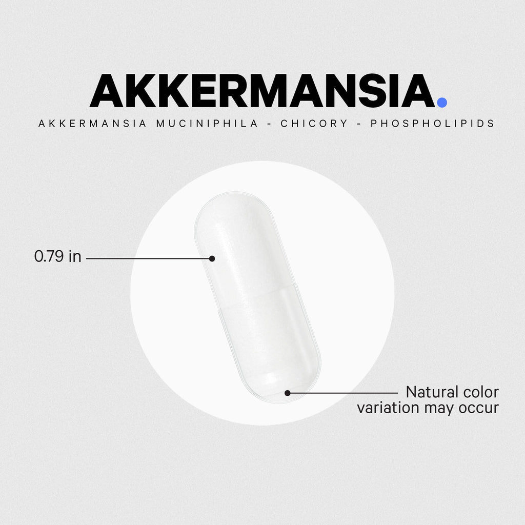 Akkermansia Capsules, Probiotic + Prebiotic