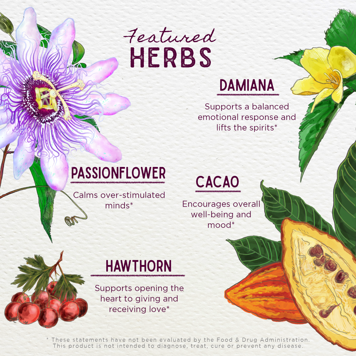 Liquid Bliss Peace - Herbal Supplement