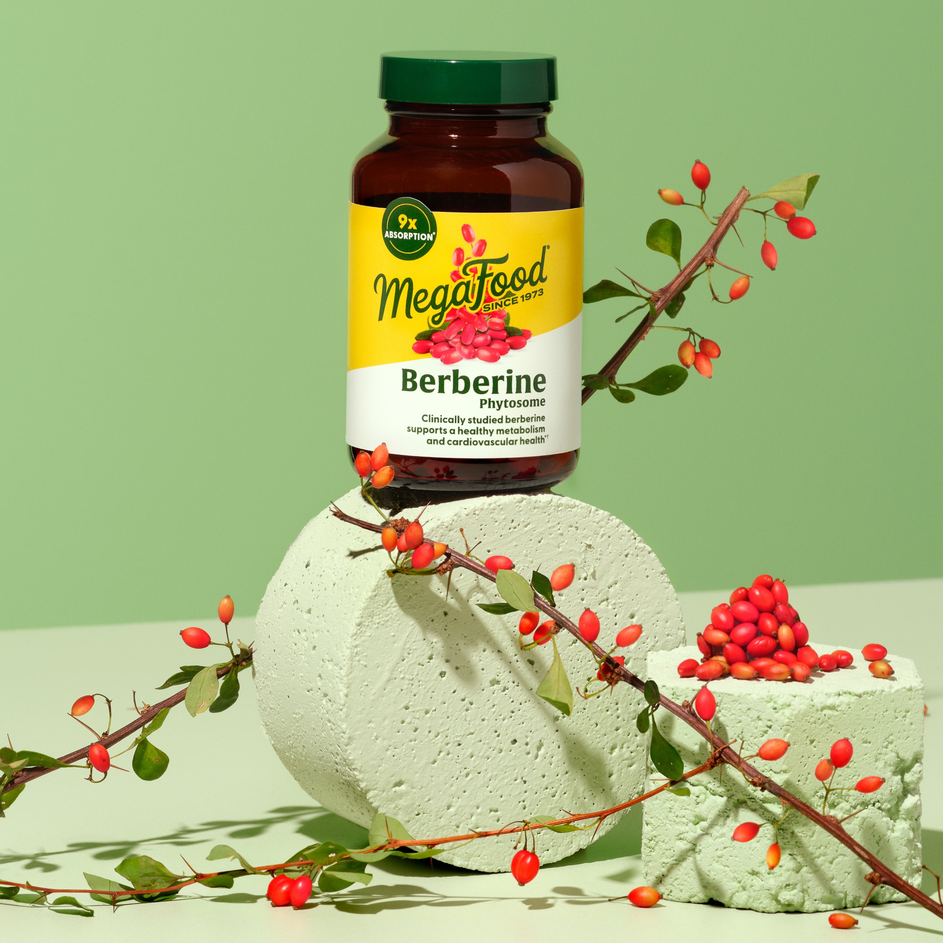 Berberine Phytosome