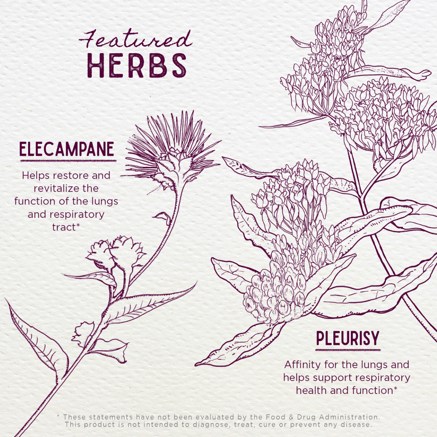 Serious Cough - Herbal Supplement