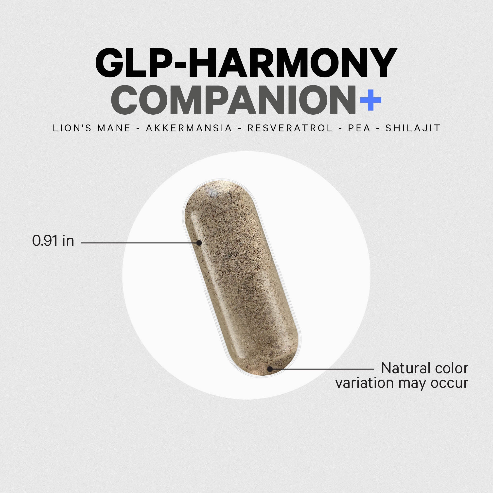 GLP-Harmony Companion