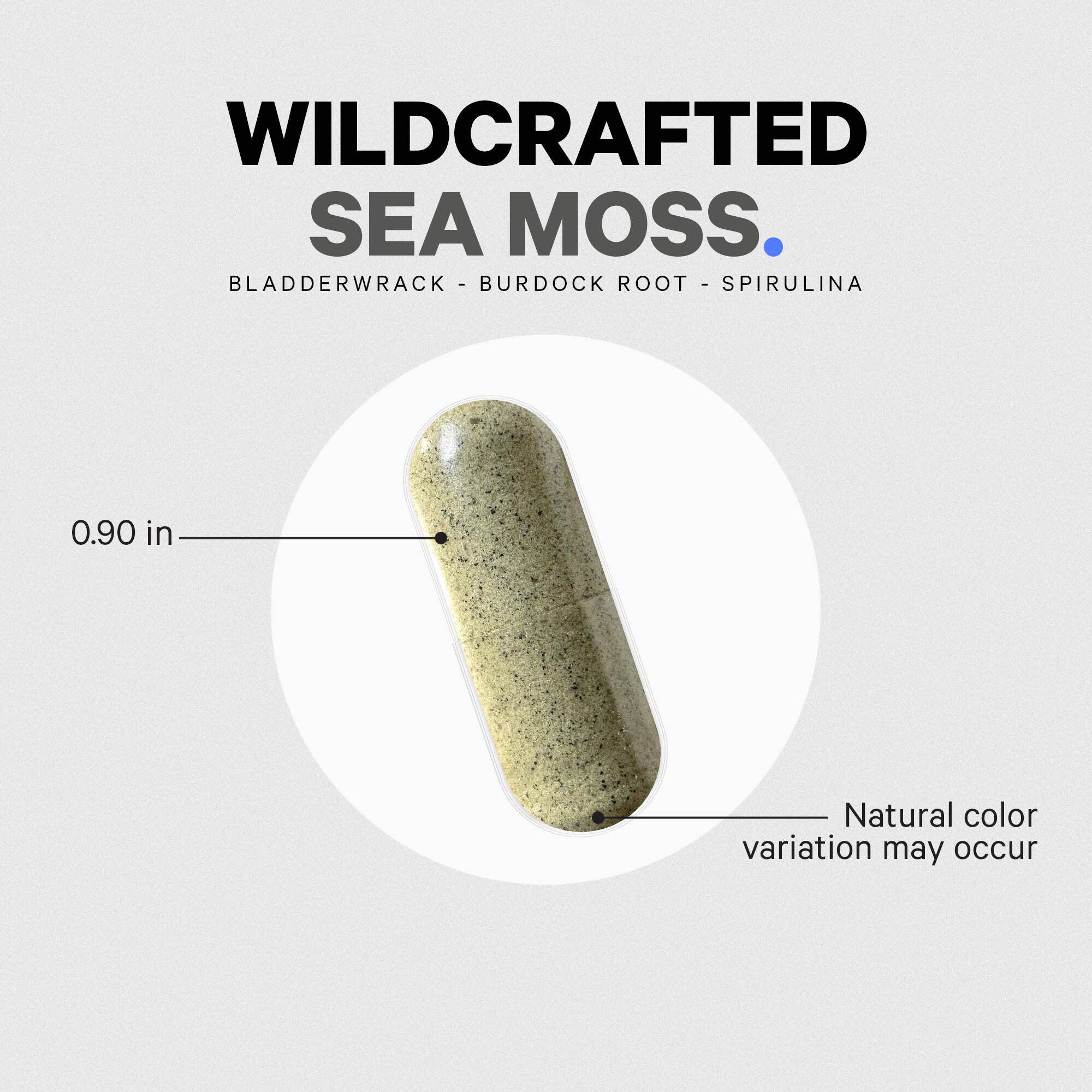 Sea Moss Wild Crafted