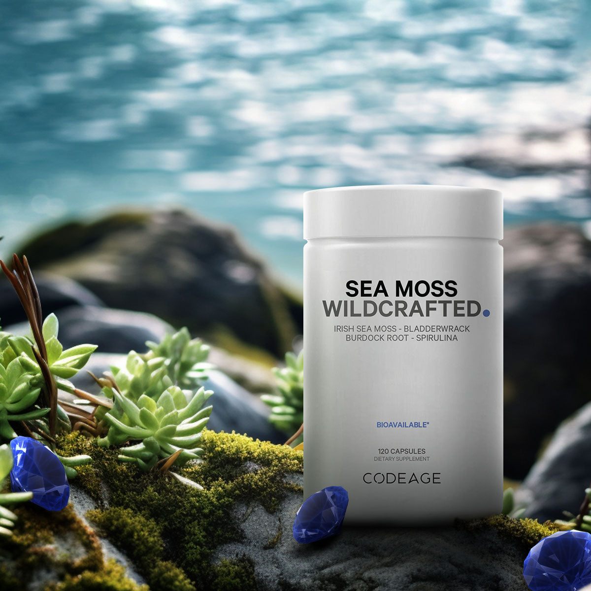 Sea Moss Wild Crafted
