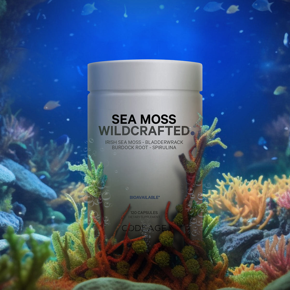 Sea Moss Wild Crafted
