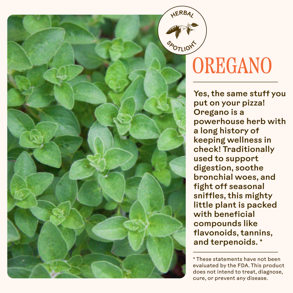 Oregano Daily Wellness