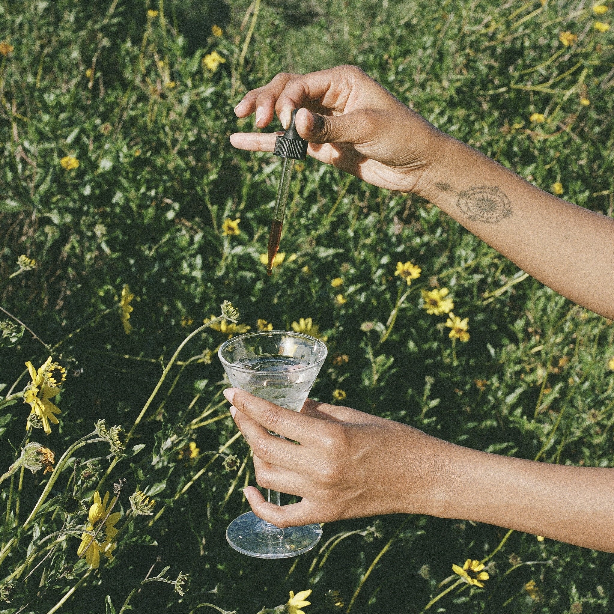 Tranquility Tonic