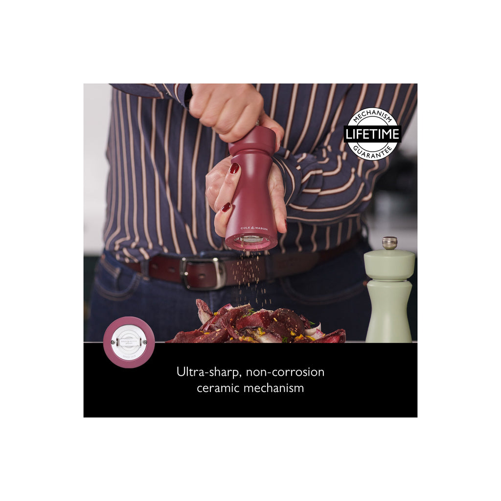 2-in-1 Kenton Salt & Pepper Mill with Ceramic Grinder