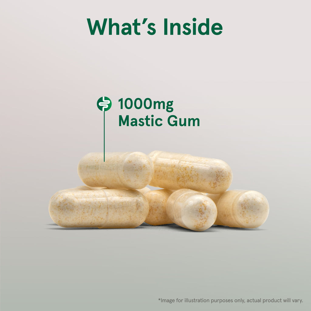 Mastic Gum
