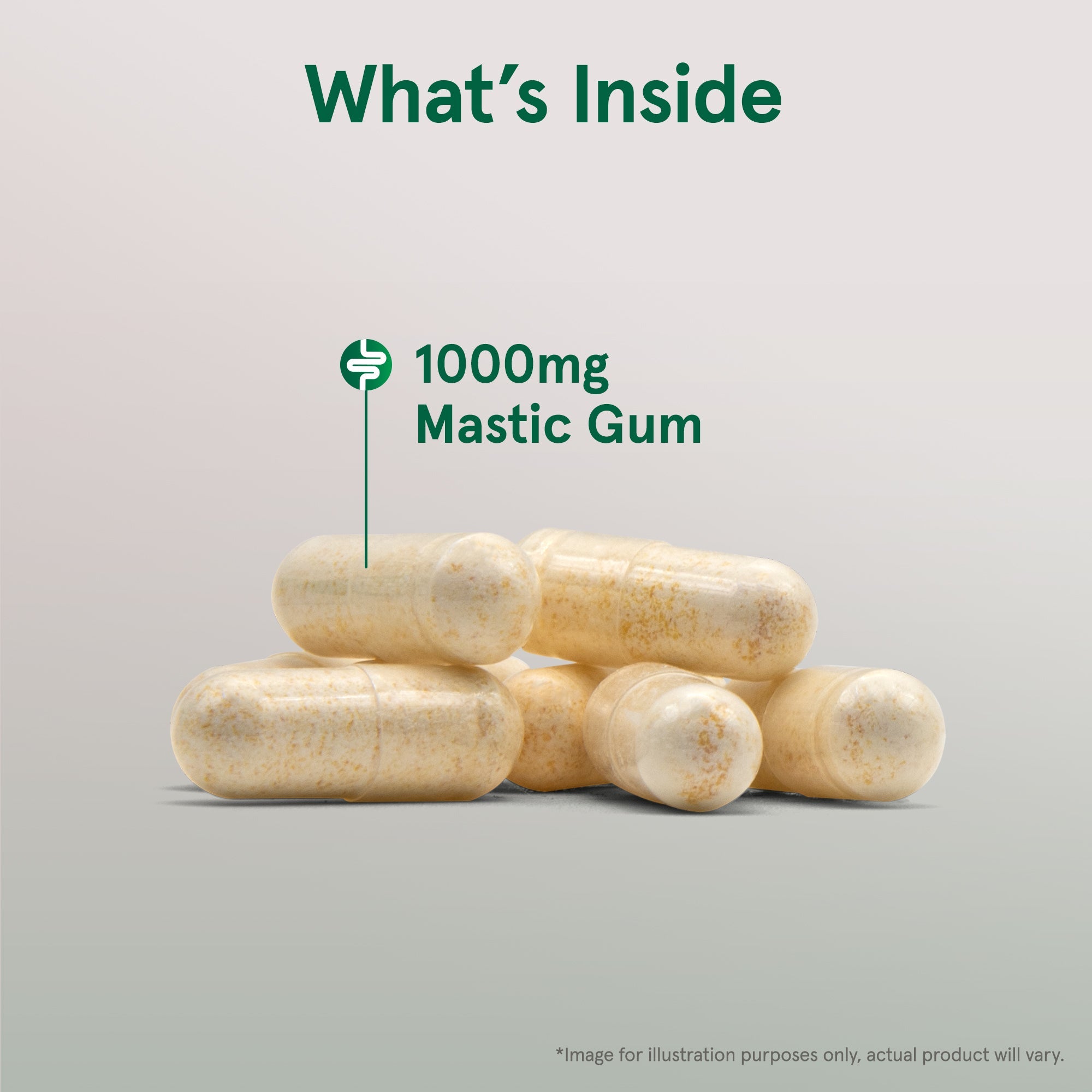 Mastic Gum