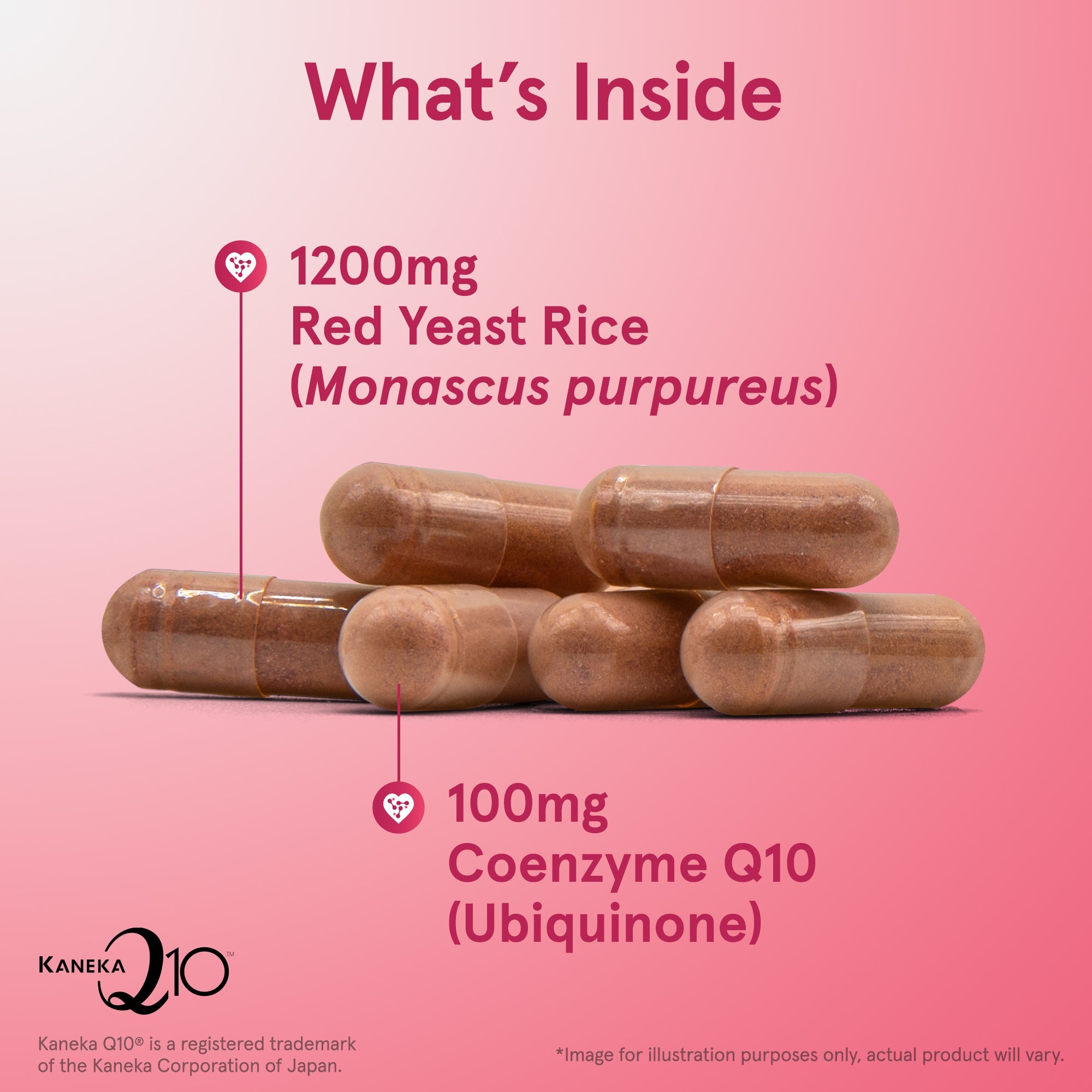 Red Yeast Rice 1200mg & Co-Q10