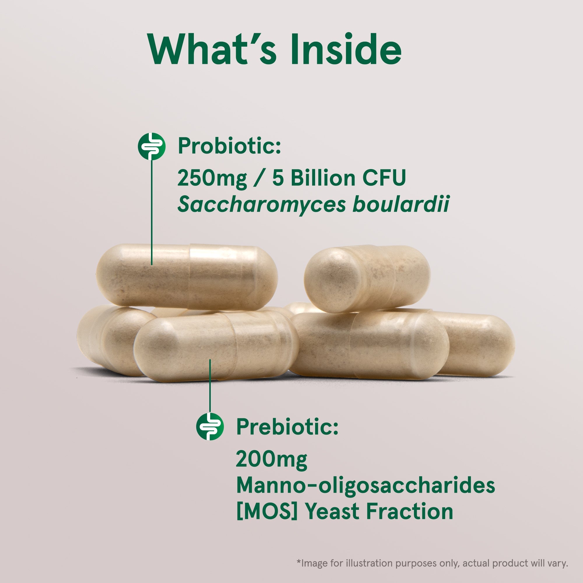Saccharomyces Boulardii Probiotics + MOS