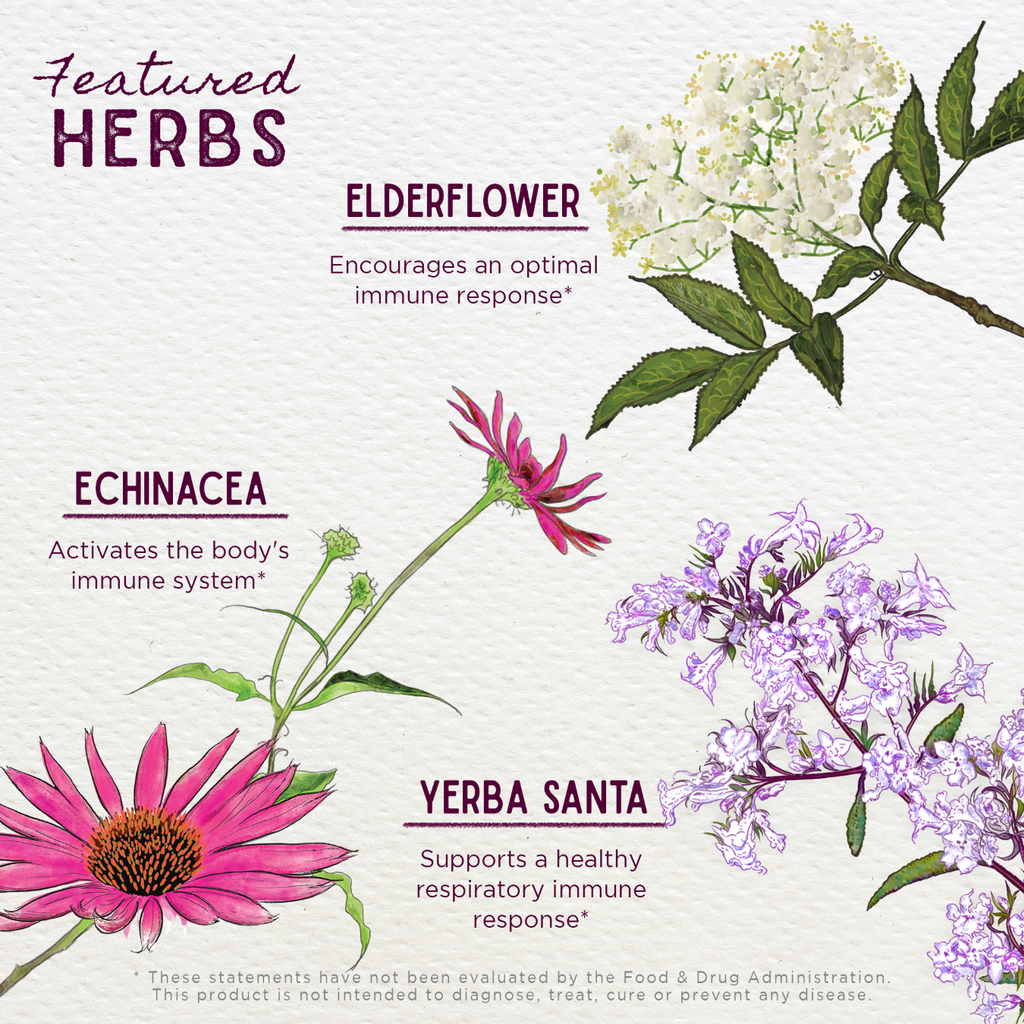 Kick-Ass Immune - Herbal Supplement