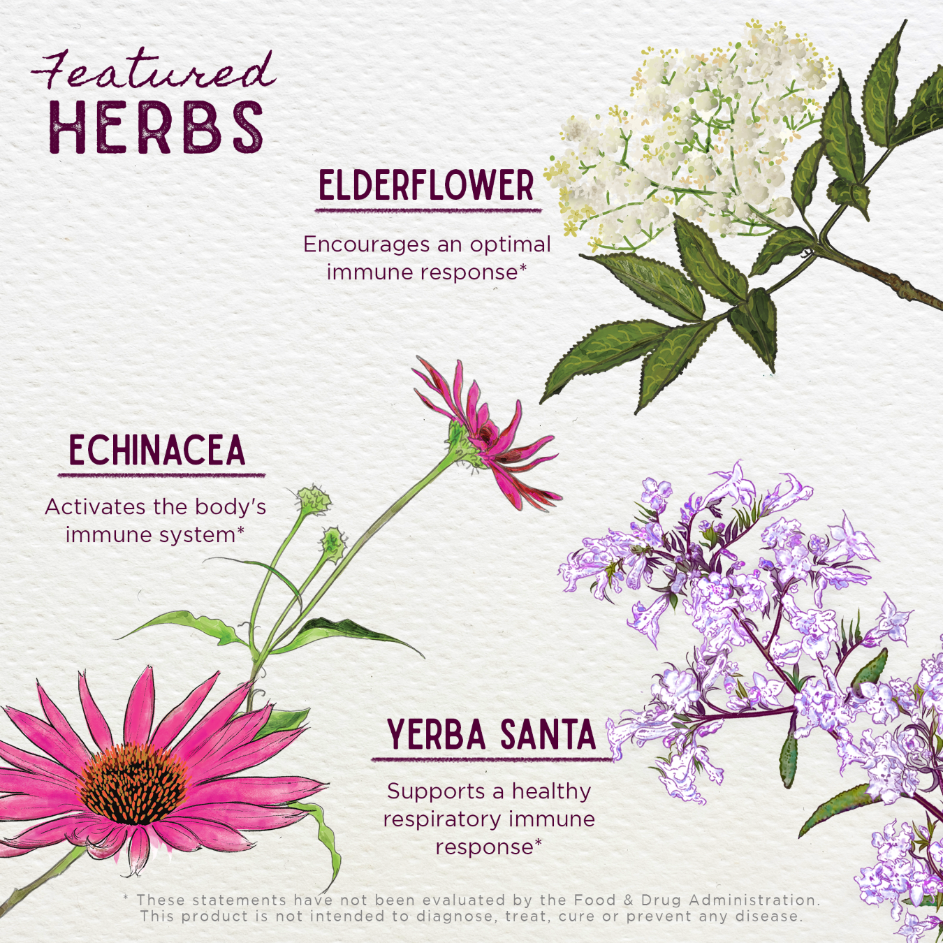 Kick-Ass Immune - Herbal Supplement