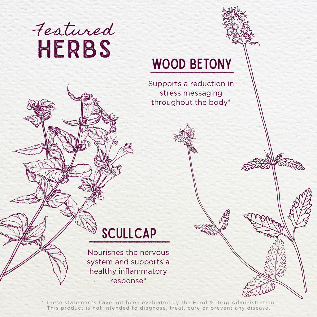 Serious Relaxer - Herbal Supplement