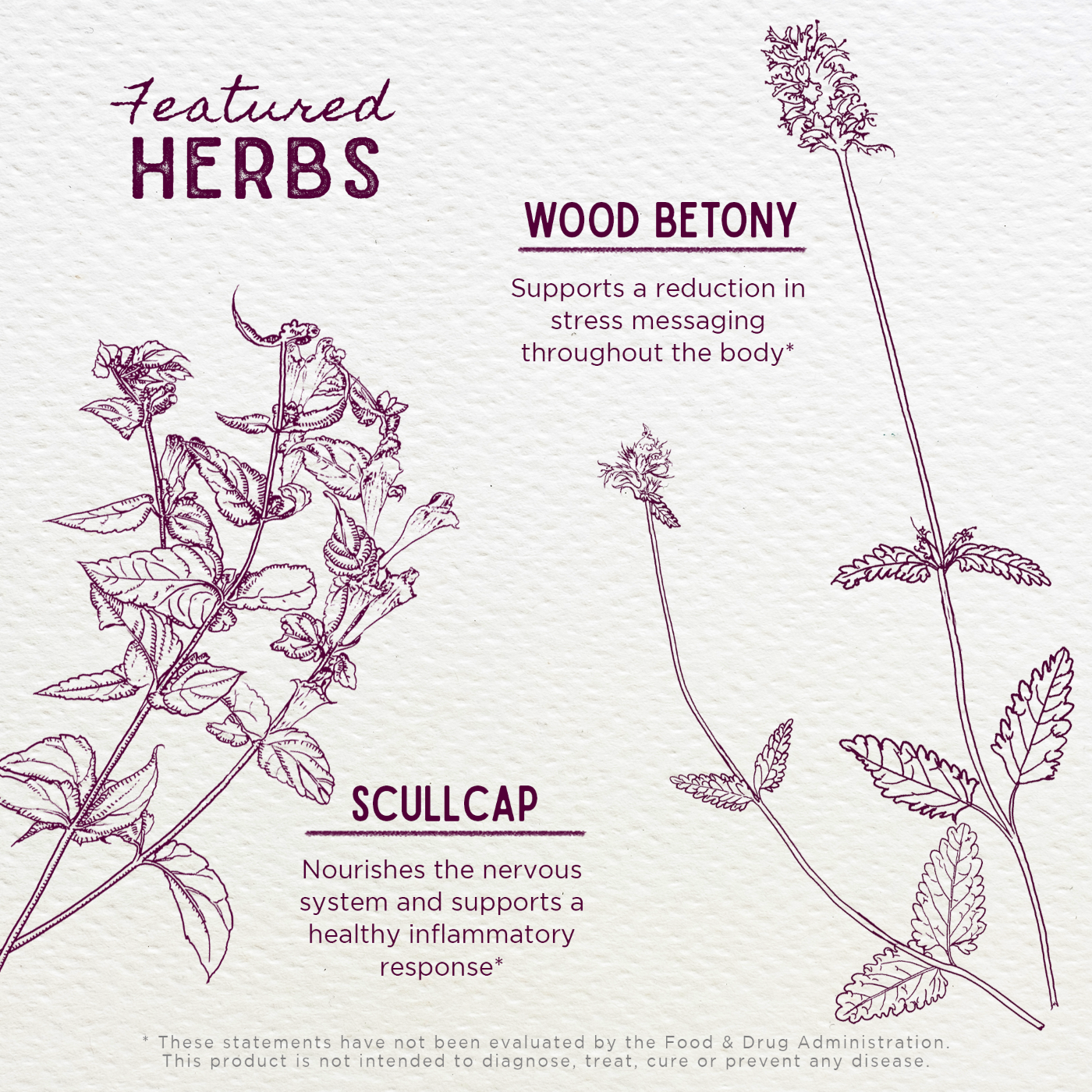 Serious Relaxer - Herbal Supplement