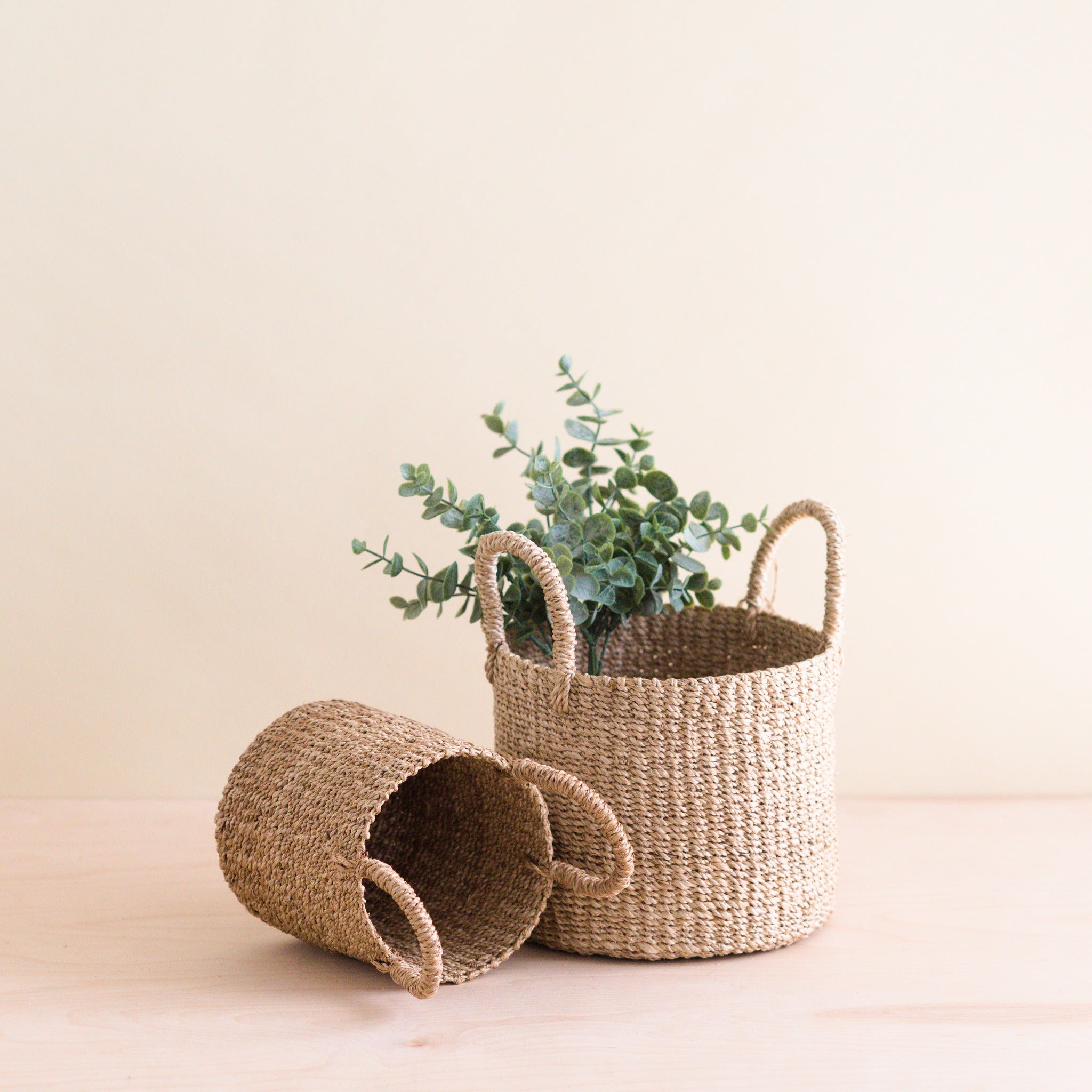 Abaca Cylinder Tabletop Basket with Handles, Set of 2