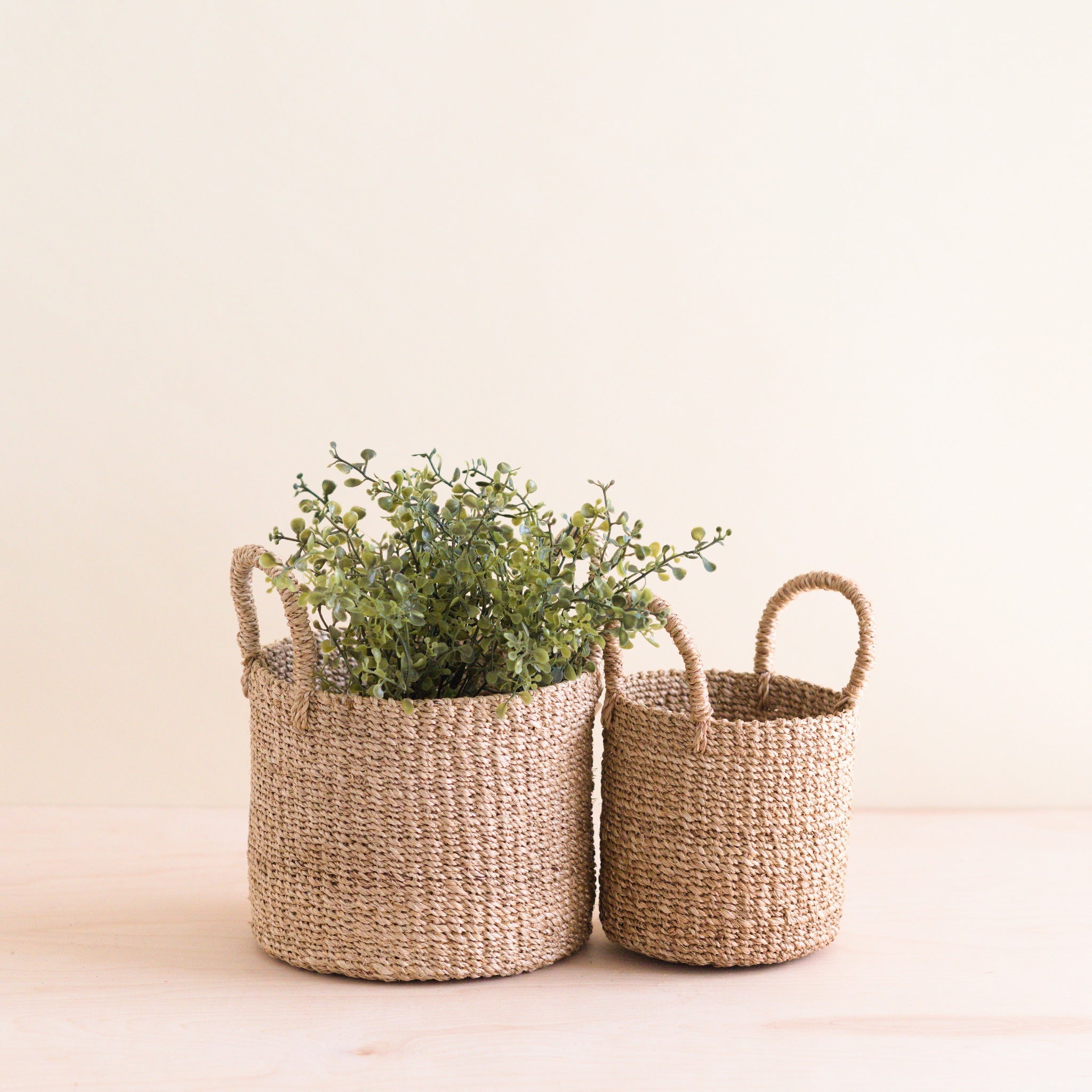 Abaca Cylinder Tabletop Basket with Handles, Set of 2