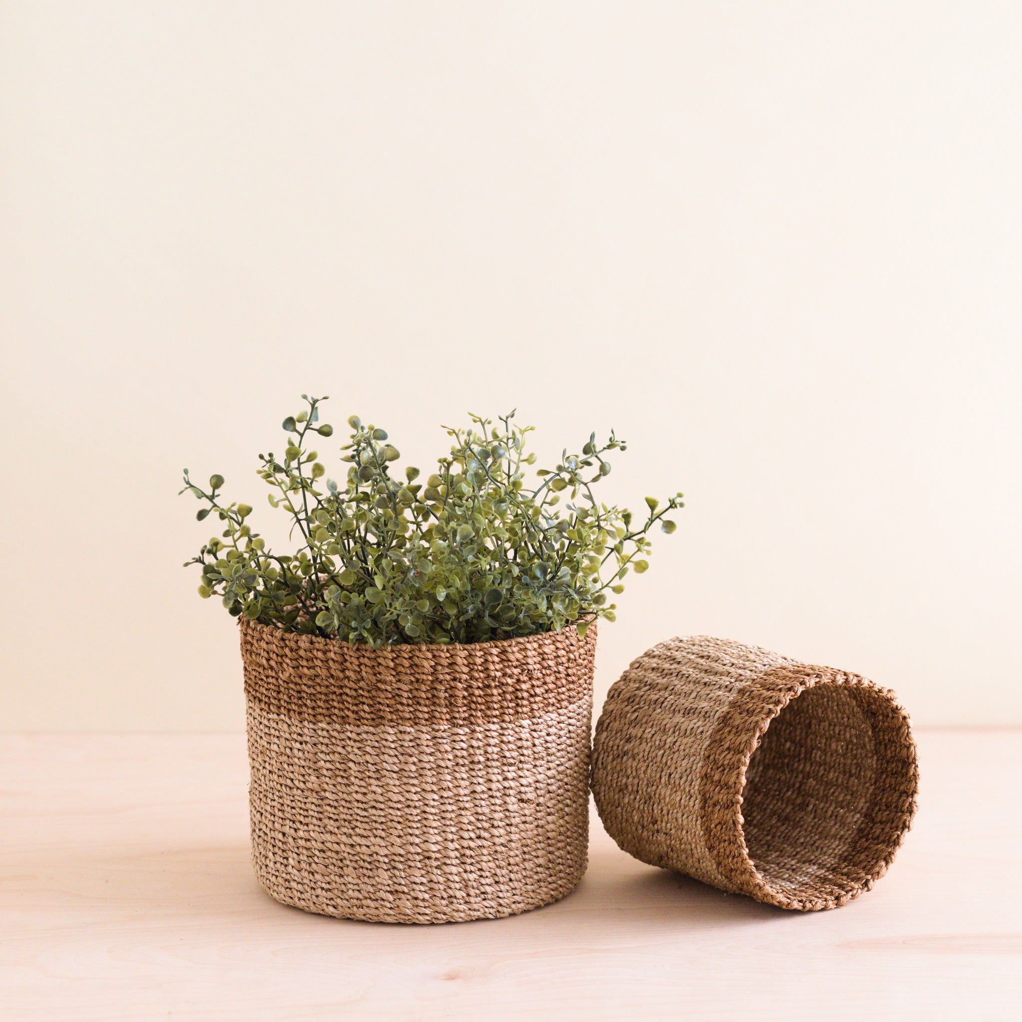 Abaca Cylinder Tabletop Basket, nested set of 2