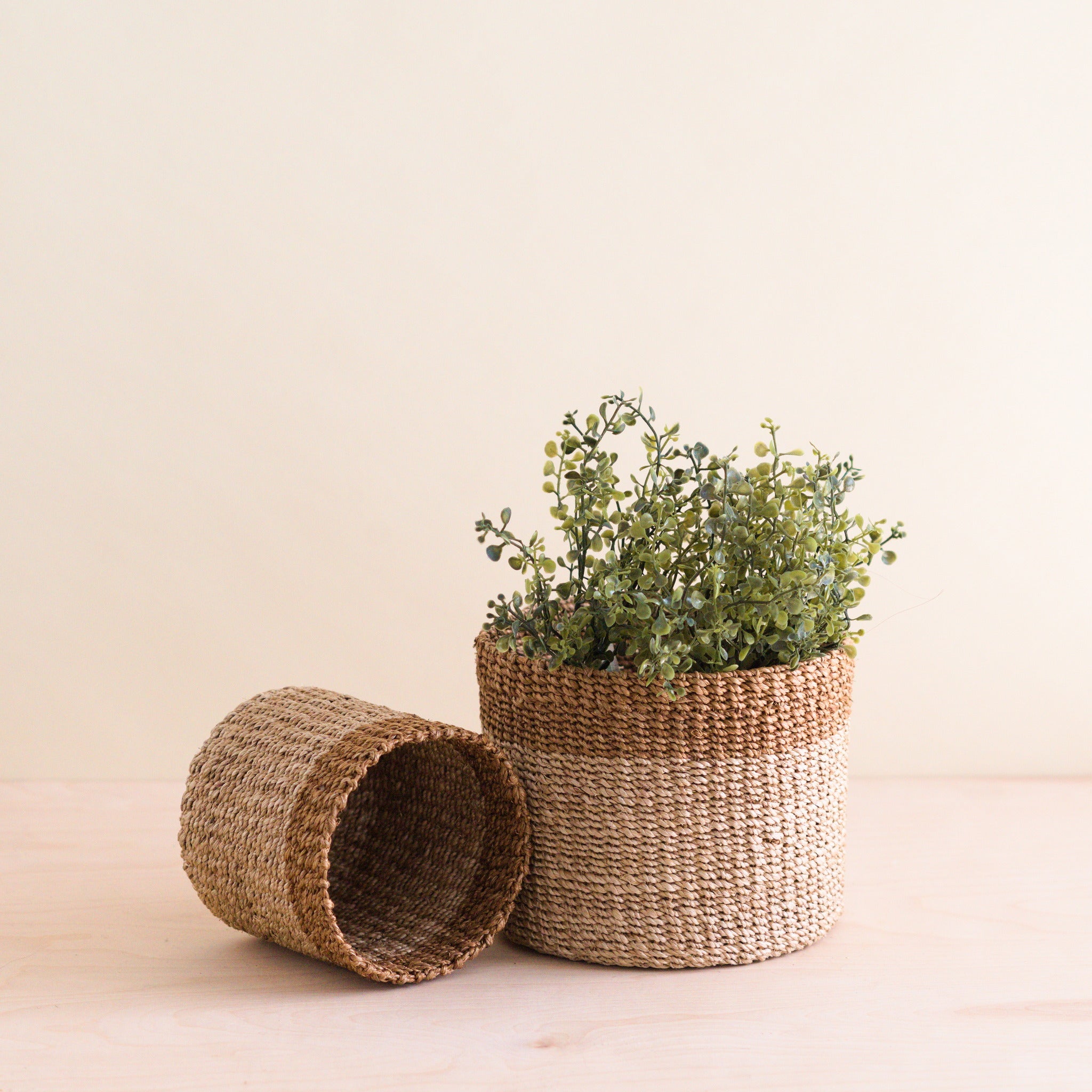Abaca Cylinder Tabletop Basket, nested set of 2