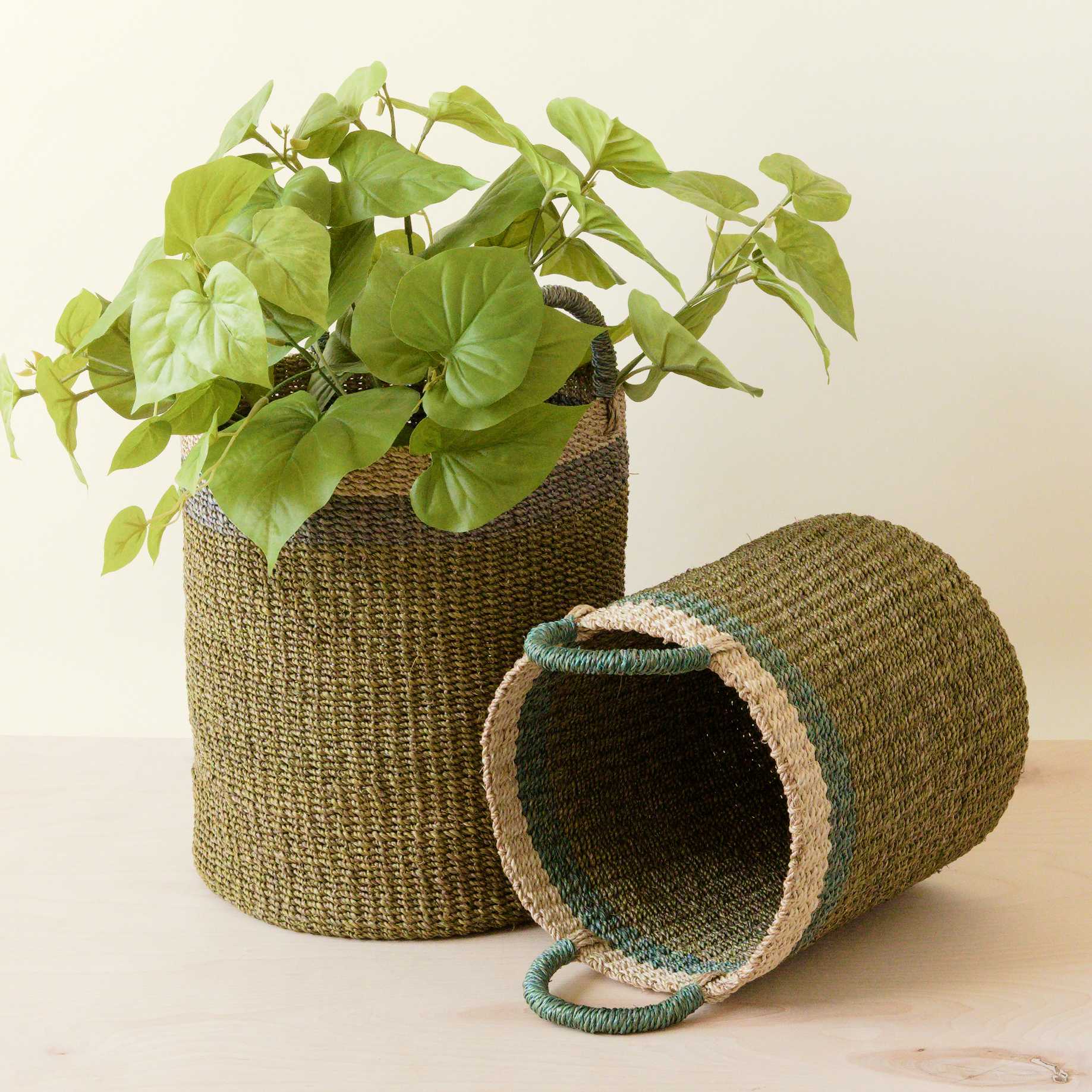 Abaca Cylinder Basket with Handles, Set of 2
