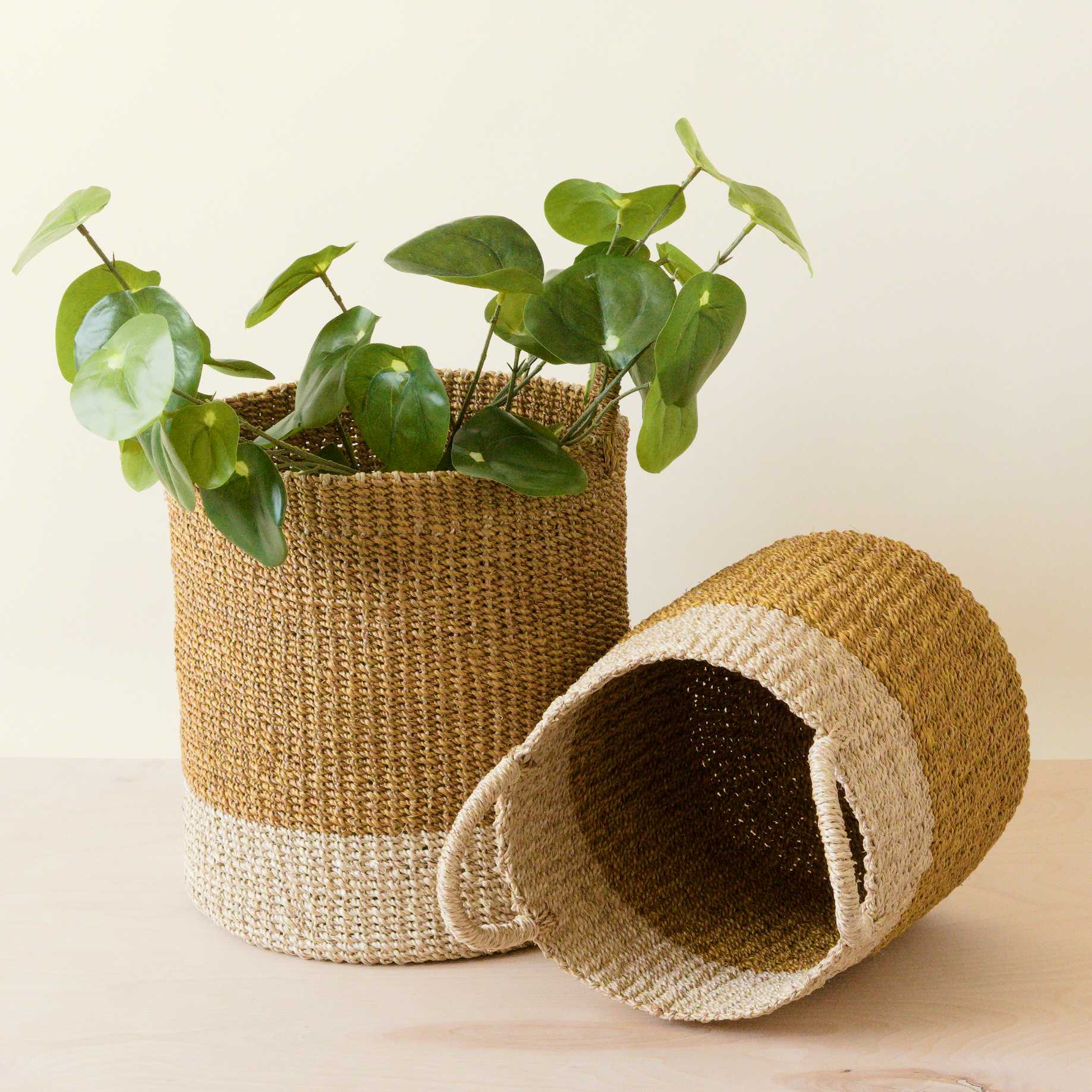 Abaca Cylinder Basket with Handles, Set of 2