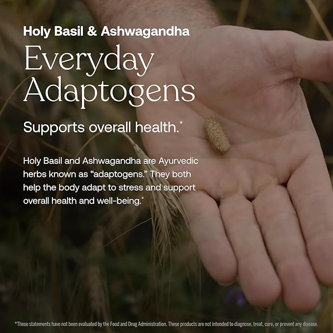 One Daily Men's Multivitamin Tablets - Daily Balance*