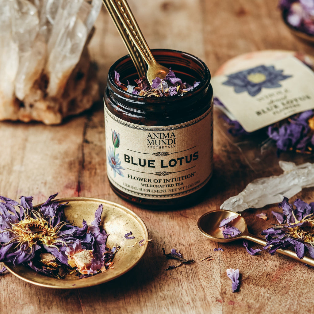 BLUE LOTUS Tea, Flower of Intuition