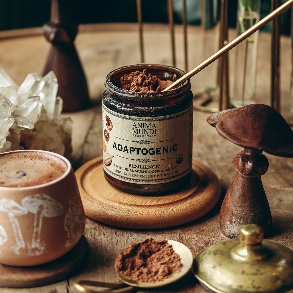 ADAPTOGENIC Powder, 7 Medicinal Mushrooms + Cacao