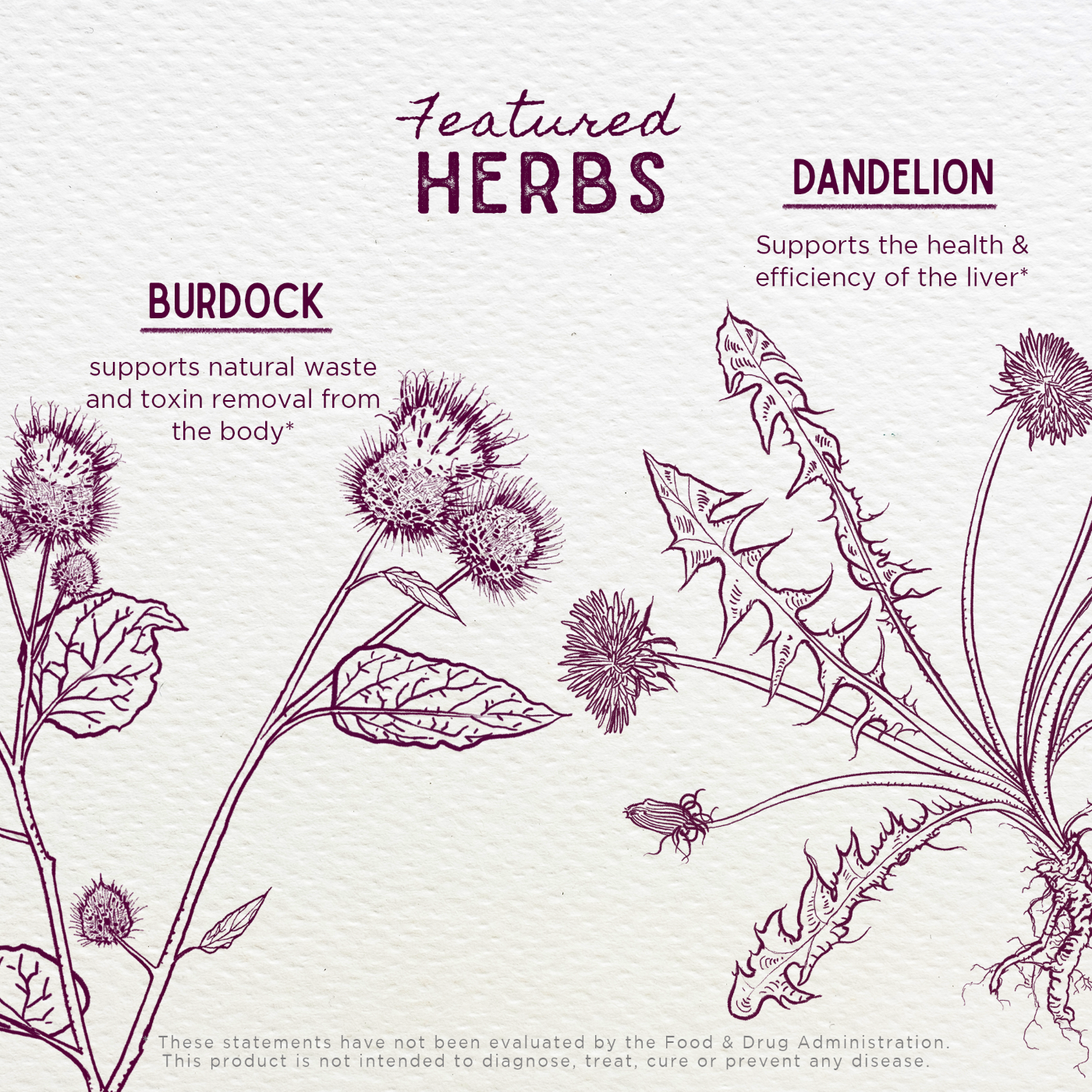 Party Prep - Herbal Supplement